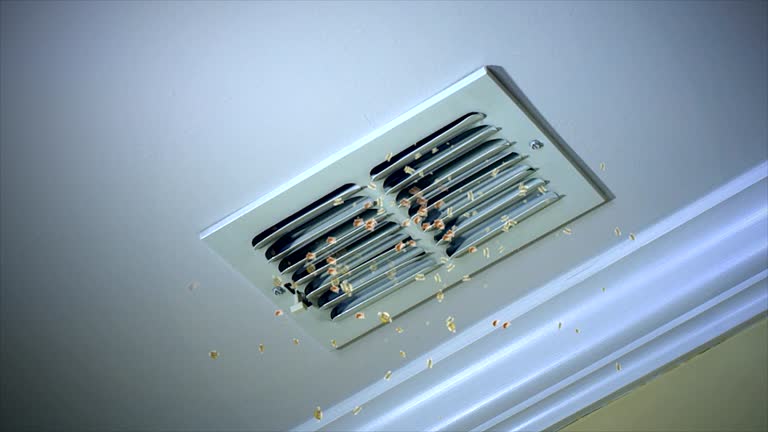 Best Affordable Duct Cleaning Services  in Tri City, OR